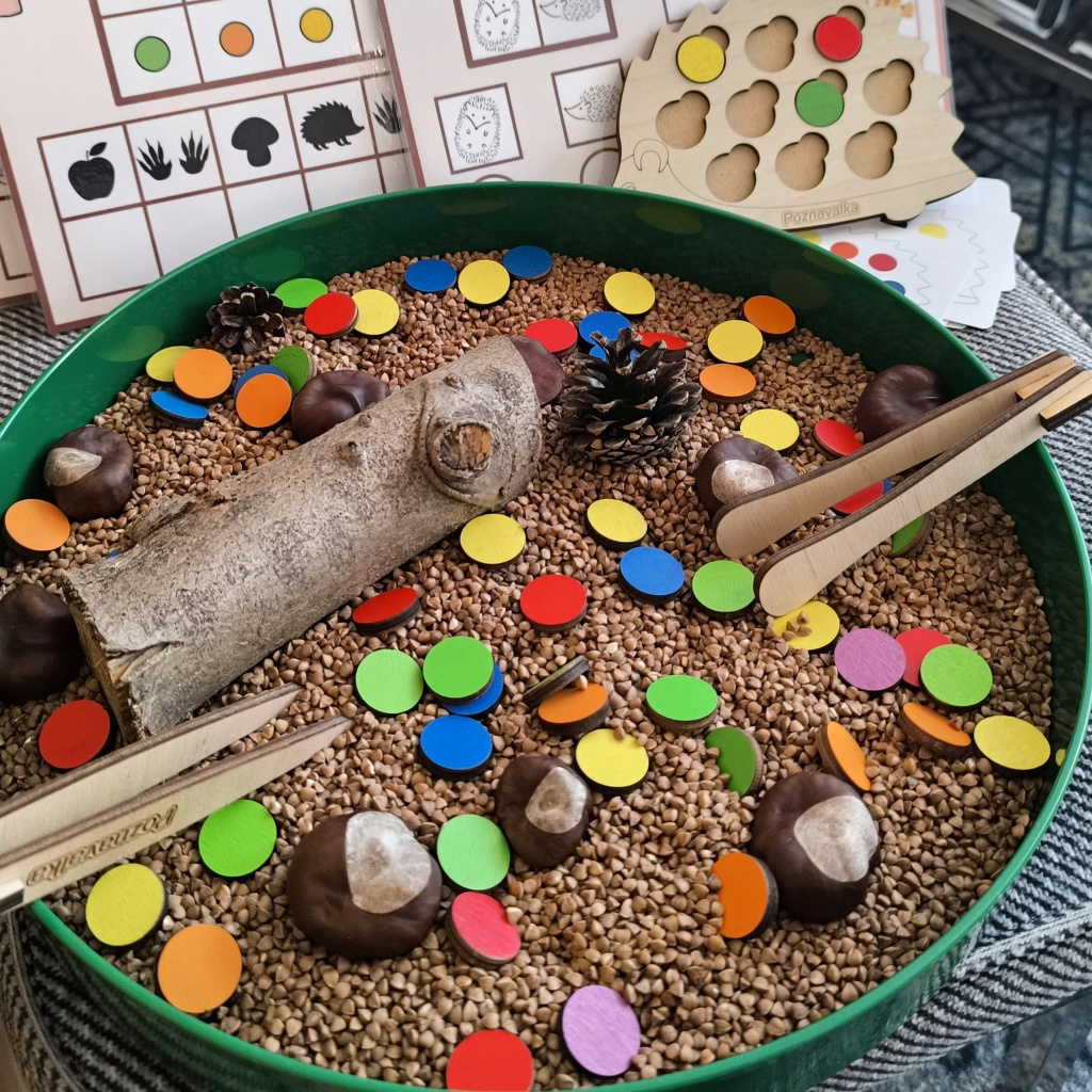 Aktivity ježek podzim sensory smyslohraní barvy